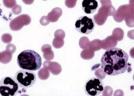 貴陽(yáng)生物實(shí)驗(yàn)中心